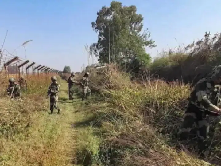 One More Infiltration Attempt By Terrorists From PoK Side In Akhnoor Sector Foiled By Indian Army