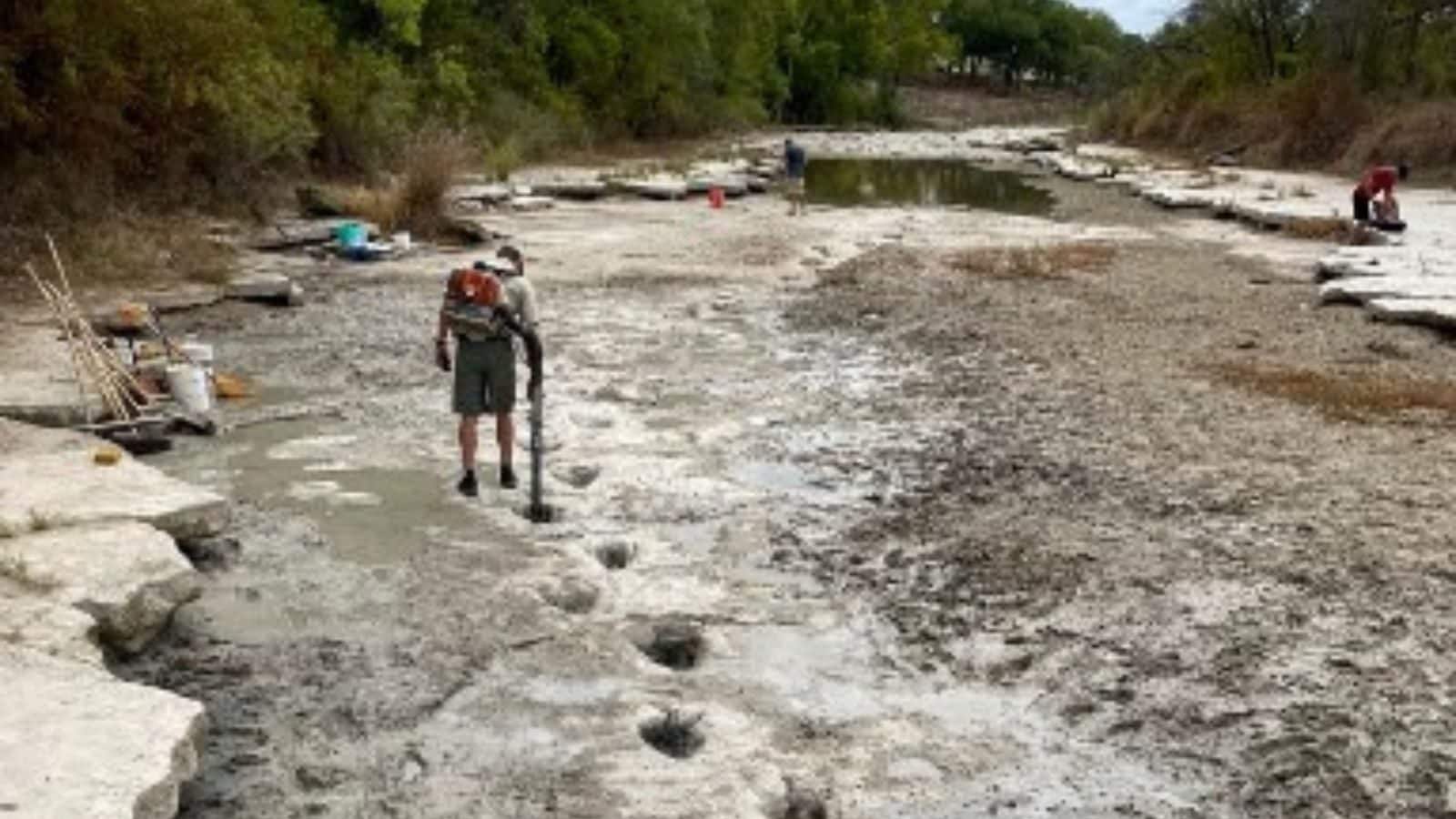Texas Drought Uncovers 'One of Longest Dinosaur Tracks in World' at National Park