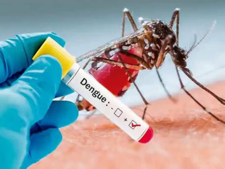 Dengue Cases Increasing In India Center Visiting States In View Of The Increasing Dengue Cases