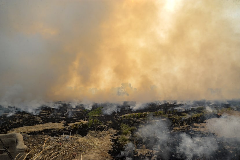 Stubble Burning Cases In Delhi Hazardous Pollution Is 32 Percent Concern About Air Quality Increased