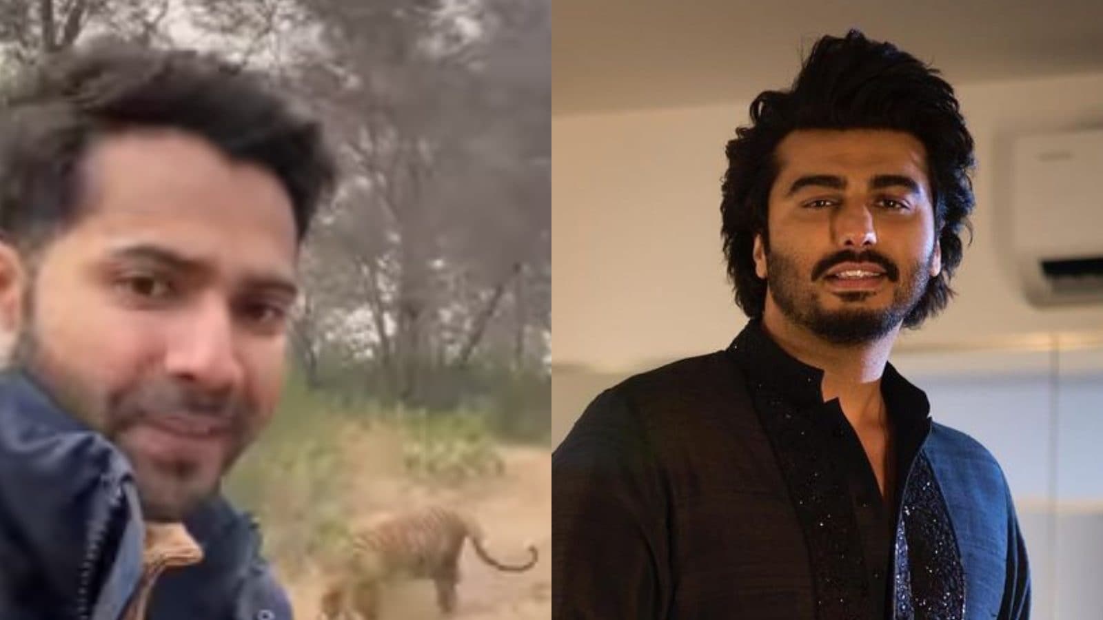 Varun Dhawan Spots Tiger During Jungle Safari; His Hilarious Caption Leaves Arjun Kapoor Impressed