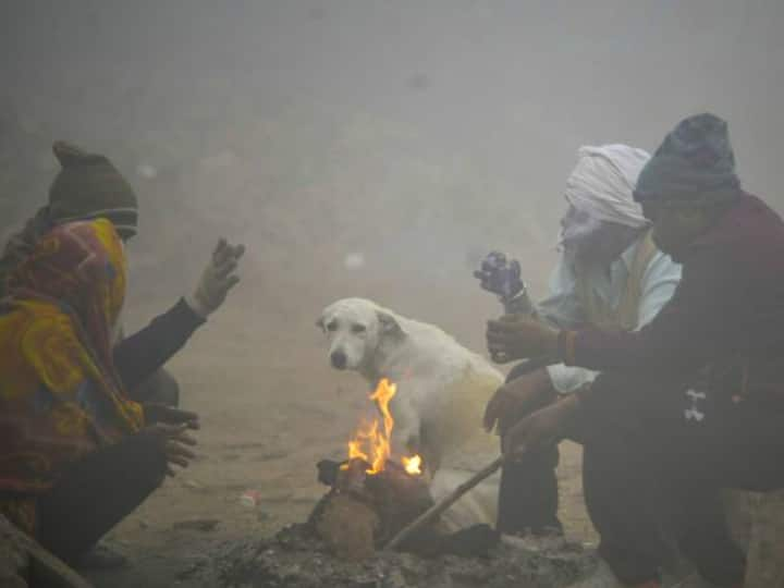 Weather Update For Tomorrow Cold Wave In North India