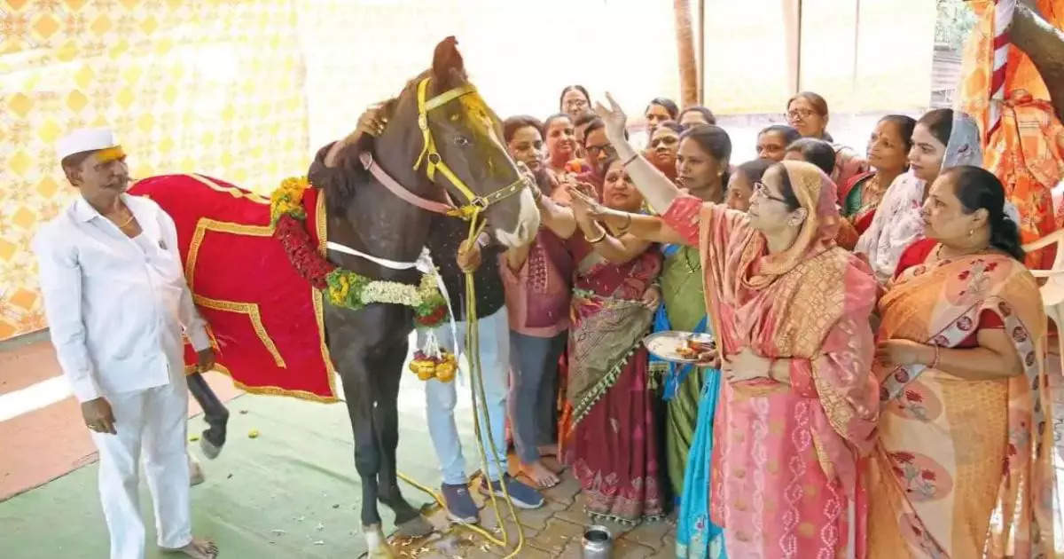 pimpari news, पिंपरीच्या महंमदभाईंकडून जेजुरीच्या खंडेरायाची सेवा, गुढीपाडव्याला पंचकल्याणी अश्व अर्पण करणार - pimpari mohammed pansare gave horse to jejuri temple as tradition of his family