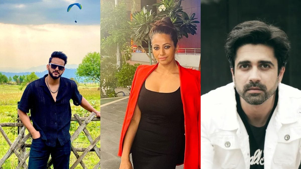 Avinash Sachdev, Aaliya Siddiqui and More, Fans Identify Mystery Contestants