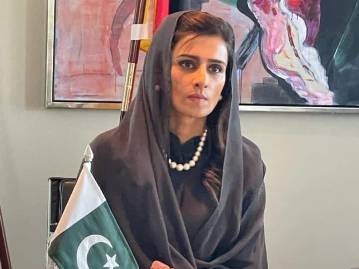 Pakistan Hina Rabbani Khar Minister Of State For Foreign Affairs On China America Relation With Pak | Pakistan Hina Rabbani Khar: चीन अमेरिका कोई 'अपना नहीं', हीना रब्बानी खार ने कहा