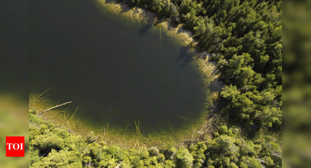 Earth: Humans' impact on the earth began a new epoch in the 1950s called the Anthropocene, scientists say