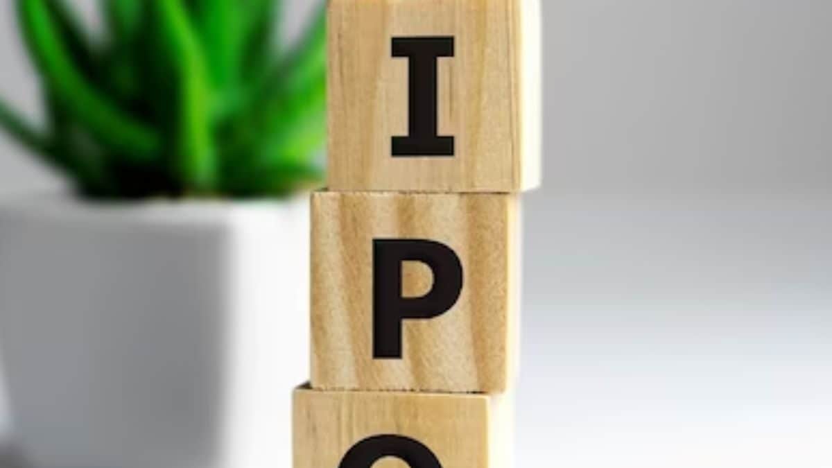 IPO Update: These Two Companies Are Launching Public Offers Worth Rs 110 Crore On August 1