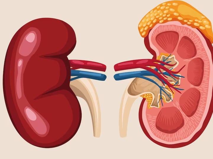 किडनी के मरीजों को भी मिलता है इन एक्सरसाइज से आराम, रिसर्च में सामने आई ये जानकारी