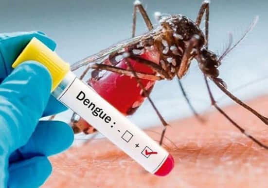 Platelets Falling Even After Dengue Report Is Negative