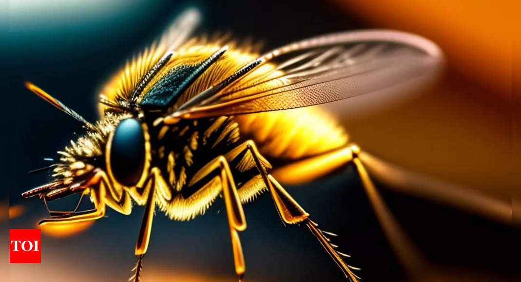 Virus: Scientists identify drug target for multiple mosquito-transmitted viruses