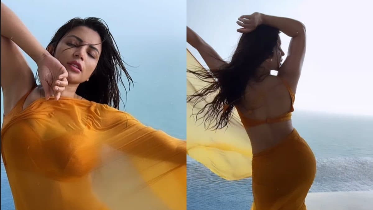 Sexy! Shama Sikander Dances In The Rain In A Chiffon Saree, Hot Video Goes Viral; Watch