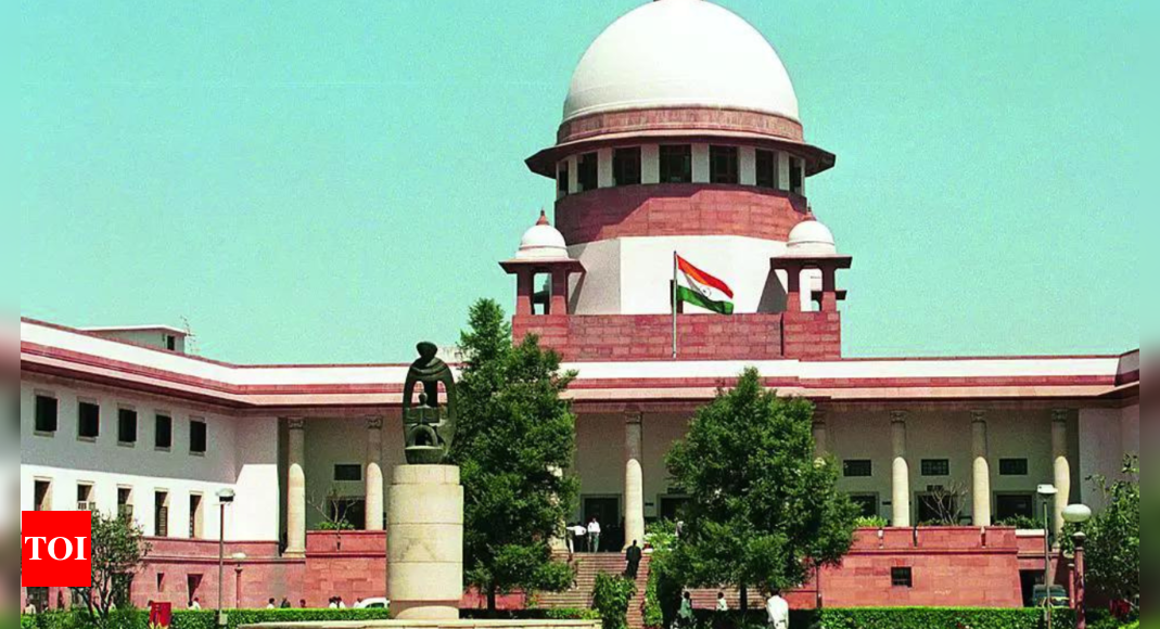 Supreme Court to review Madras high court ruling on child pornography | India News