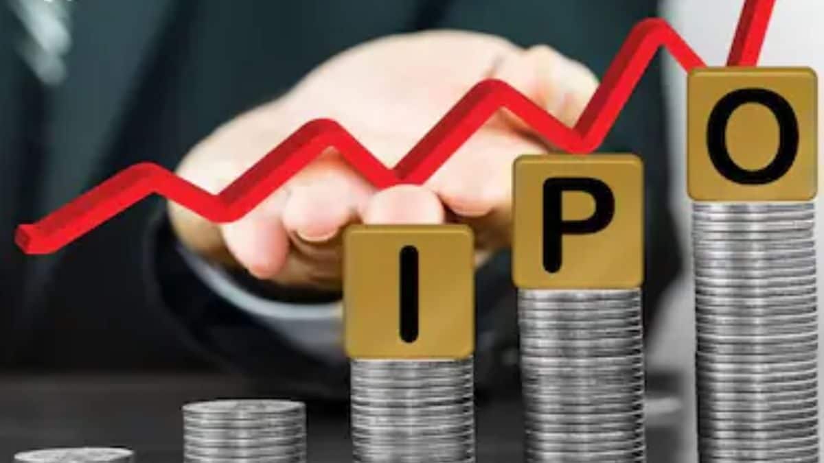 IPO Financing: Can You Take Loan For IPO Subscription? Check All Details Here