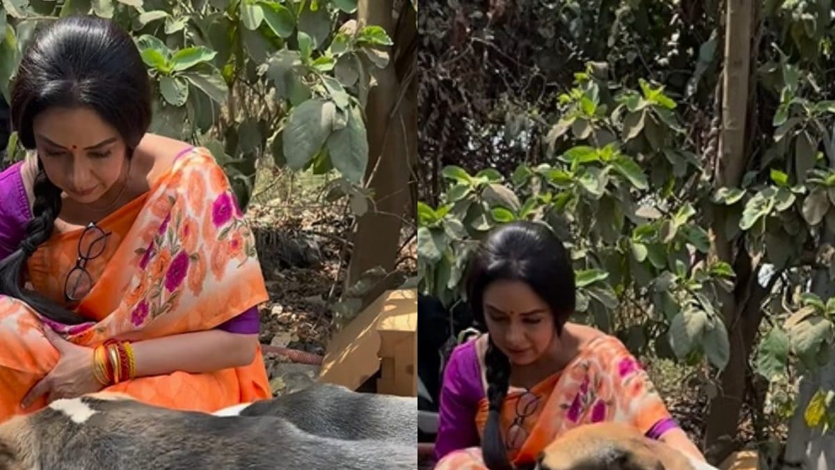 Rupali Ganguly Celebrates Birthday With Street Dogs, Feeds Them Cake; Fans React