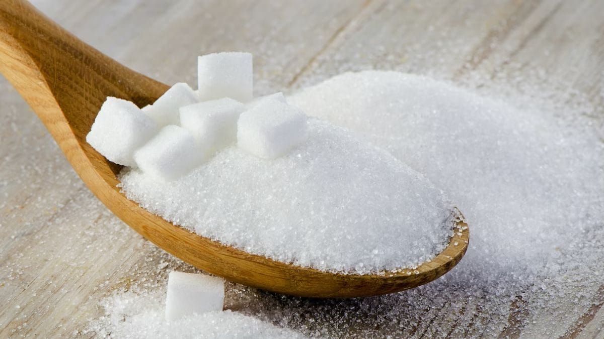 From Balrampur Chini To Renuka Sugars, It's A Sweet Day For Sugar Stocks; Here's why