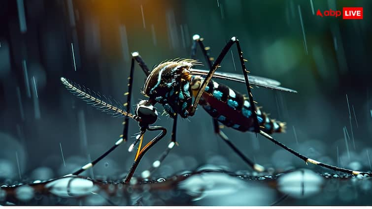 Different Types of Dengue You Might Not Know About कितनी तरह का होता है डेंगू? ये बात नहीं जानते हैं लोग