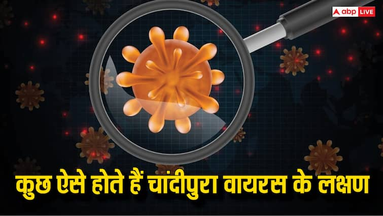 chandipura virus know the symptoms treatment prevention Chandipura virus: चांदीपुरा वायरस से ऐसे कर सकते हैं बचाव, ये लक्षण दिखते ही हो जाएं सावधान