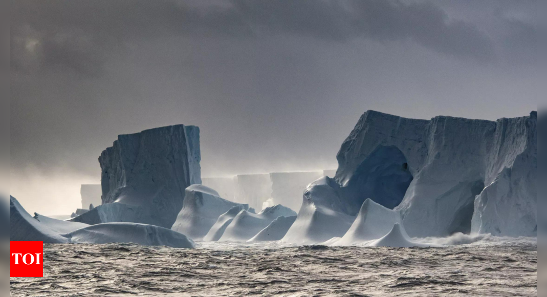 First map of vegetation across Antarctica reveals a battle for the continent's changing landscape