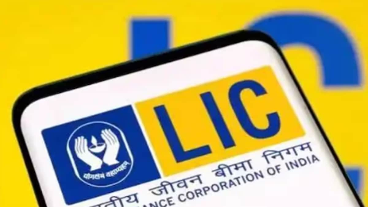 LIC To Invest Around Rs 1.30 Lakh Crore In Stock Market In FY25