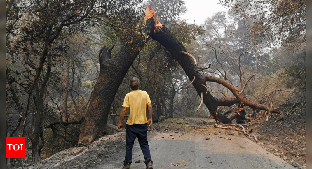 Wildfires are growing under climate change, and their smoke threatens farmworkers, study says