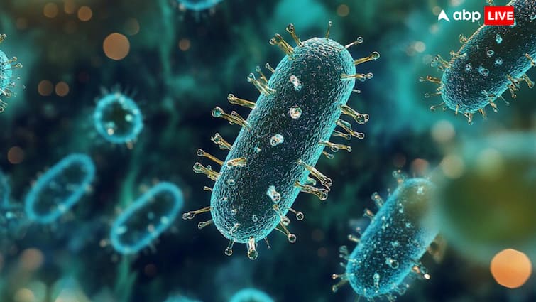 what is superbug infections know how dangerous it prevention treatment in hindi Superbugs: कोरोना के कहर के बाद क्या दुनिया के अगली महामारी होंगे सुपरबग्स, जानें हो सकते हैं कितने खतरनाक