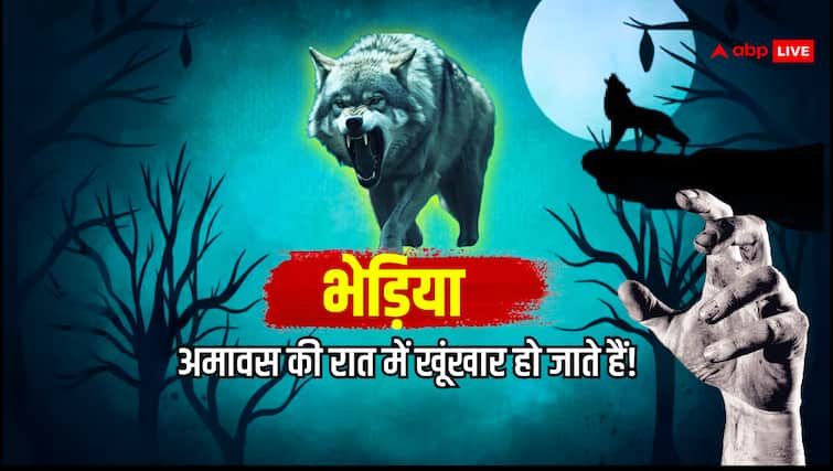 bhediay amavsya ki raat ko khunkgar ho jata hai kya ye sach hai भेड़िया आमावास की रात को क्यों खूंखार हो जाता है! क्या है इसके पीछे का रहस्य?